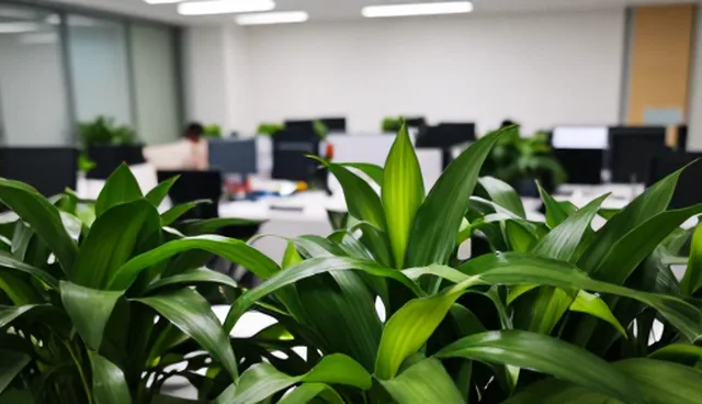 冷链配送网络覆盖如何推动业务发展趋势